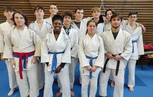 Championnat de France jujitsu 