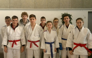 Une équipe médaillée à l'Open Jujitsu d'Orléans 
