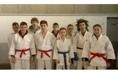 Une équipe médaillée à l'Open Jujitsu d'Orléans 